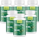 1 000 MG Gentle 解毒清洁剂、肝脏天然毒素氟化剂、Gut & Colon、抗氧化剂和消化剂支持、Zeolite、女性和男性快速解毒复合剂 -- -- 480 Capsules