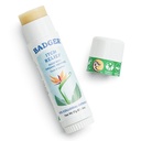Badger Bug Bite Itch Relief Stick,天然和有机抗痒酸,Bug Bites, Rashes & 毒艾薇,Bite后的快痒皮肤 Relief, Works Great, Smells Great, Easy to Use, 6 oz