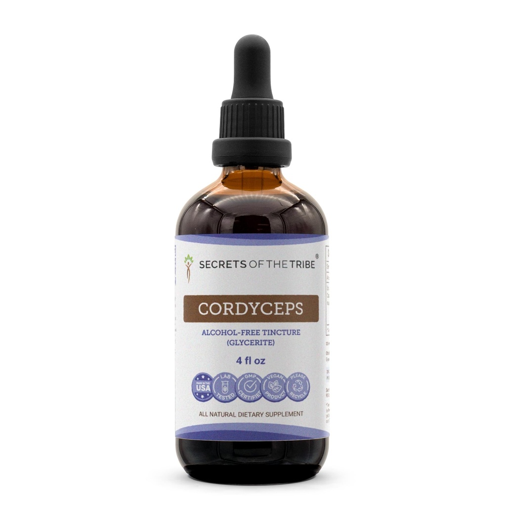 Cordyceps无酒精液体提取器的秘密,Cordyceps Sinensis 干蘑菇丁补充剂(4 FL OZ)