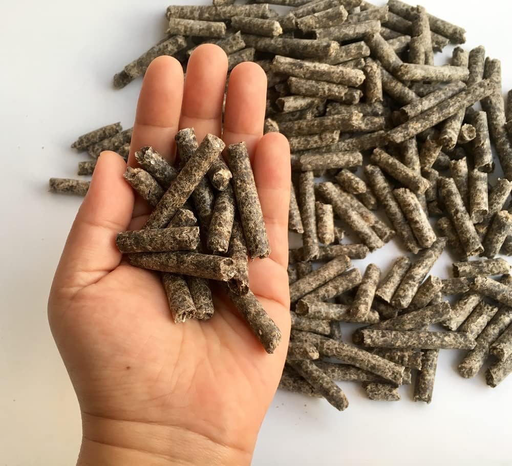 用于饲料的智能甜甜圈——马,马,马,羊,牛饲料——有利于脑健康和天然甜甜(12 Ouences)