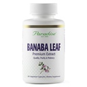 天堂草,Banaba叶,12:1 集中提取物,250毫克,Vegan,Gluten-Free,N-GMO,180卡普尔