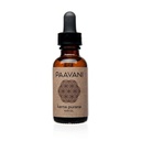 PAAVANI Ayurveda Ear Oil - 在美国制造 - Ayurvedic Herbal Ear Drops - Itchy Ears & Earache Relief - 100%有机, 1 oz