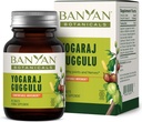 Banyan Botanics Yogaraj Gugulu – 支持骨骼和神经肌肉系统的有机联合支持补编 ­­– Ayurvedic Blend * – 90 板块 – 非GMO,可持续源代码, Vegan