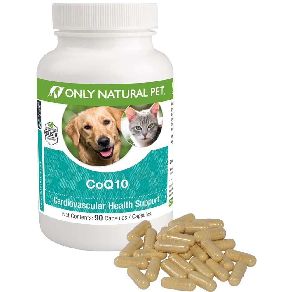 只有自然宠物 CoQ10 Capsules for Dogs & Cats – Coenzyme Q10 Ubiquinone 补充 – 帮助维持生命力,能量和整体福祉 – 90 Counter