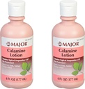 Calamine Lotion) - Calamine 主题悬浮 USP皮肤保护剂 - 6 Fl Oz(177毫升)(2包)