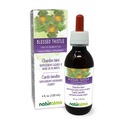 Naturalma Blessed Tetle 或 Holy Tetle (Cnicus benedictus) 带花无酒精丁香的草药 - 4 fl oz 液体在滴液中的提取 - 草药补充 - Vegan