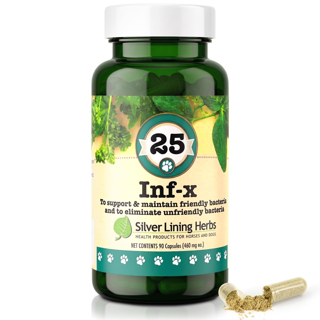 银丽宁草药 25 Canine INF-X - 帮助保持健康消化水平 - 自然支持正常解毒过程 - 狗的草药健康补充剂 - 90 Capsules
