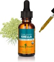 用于呼吸系统支持的Herb Pharm Khella液体提取器 - 1 Ounce (DKHELL01)