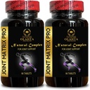 联合矩阵PRO 复合体 -- -- 支持联合、膝盖、男女卡蒂拉、天然Glucosamine Chondroitin和MSM -- -- Hip & Joint -- -- 2瓶