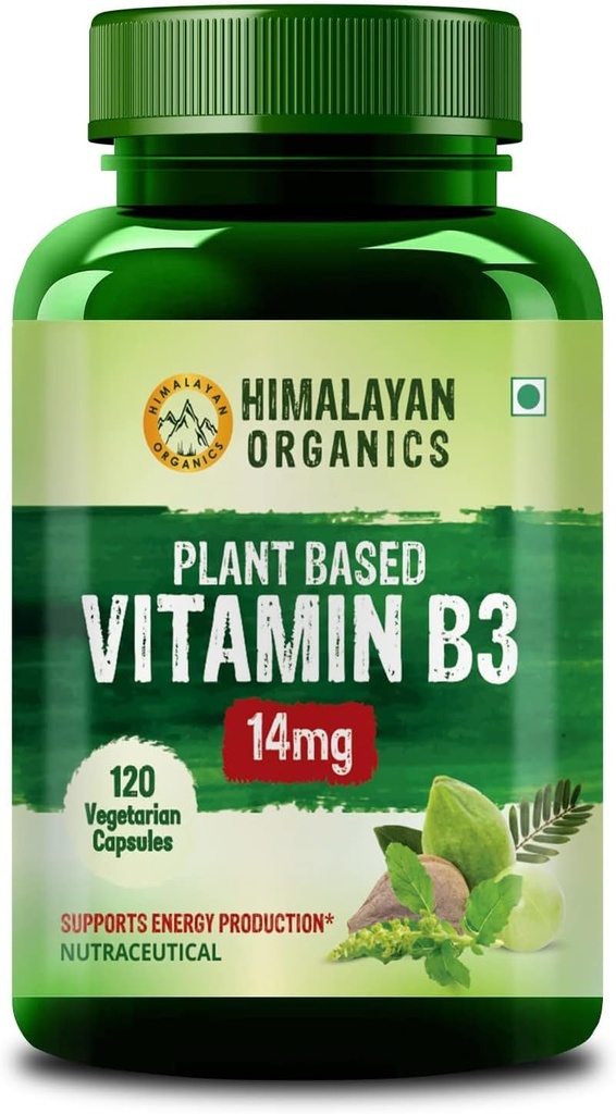 普通植物维生素B3 支持健康皮肤和心脏120卡普尔