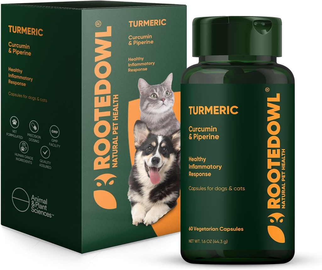 根头猫头鹰图尔克-狗和猫的图尔克补充剂-Crucumin、Piperine和维生素C用于抗炎救济-60/ct