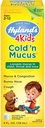 Hyland's Cold Medical for Kids Ages 2 and up, Cold'n Mucus Relief Li液, 天然的 Mucus and Contracting, Runny Nose, Cough, 4 Ounces (英语).