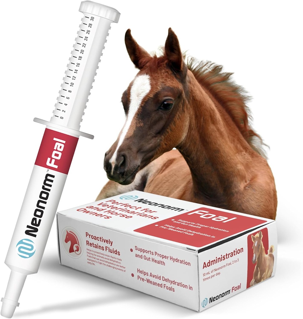 美洲虎动物健康泡沫 -- -- 支持适当水分和肉球健康的Equine Supplement -- -- 食前泡沫的植物产品(30毫升)
