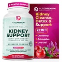 肾脏支持补充剂 — Kedney Cleanse Detox 和用 Cranberry 提取器 & Astragalus 进行修复 — 21-in-1 复合支持 正常Bladder, Urinary Tracts & Kedneys 健康 — 60天供应