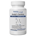 高级实验室 Acetyl L-Carnitine 500毫克、高可能性ALCAR、纯非GMO、零合成添加剂、最大吸收、能量和脂肪代谢、大脑、神经和细胞解毒支持,(200Veg Caps)