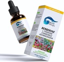 Berberine - L-Theanine - Chamomile - Ashwagandha 液滴 总体福利 - 所有天然成分 1 Fl Oz... (1)
