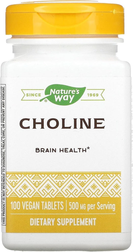 自然之道500Mg 100Tb Choline, 100CT