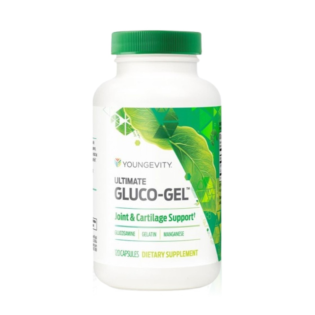 与Glucosamine Sulfate 和 Gelatin 的 联合和卡蒂拉式支助补编