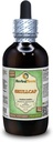 Skullcap (Scutellaria Lateriflora) Glycerite, 有机干草无酒精液体提取物(Brand name:Herbalterra, 自豪地在美国制造) 4 fl.oz (120毫升)