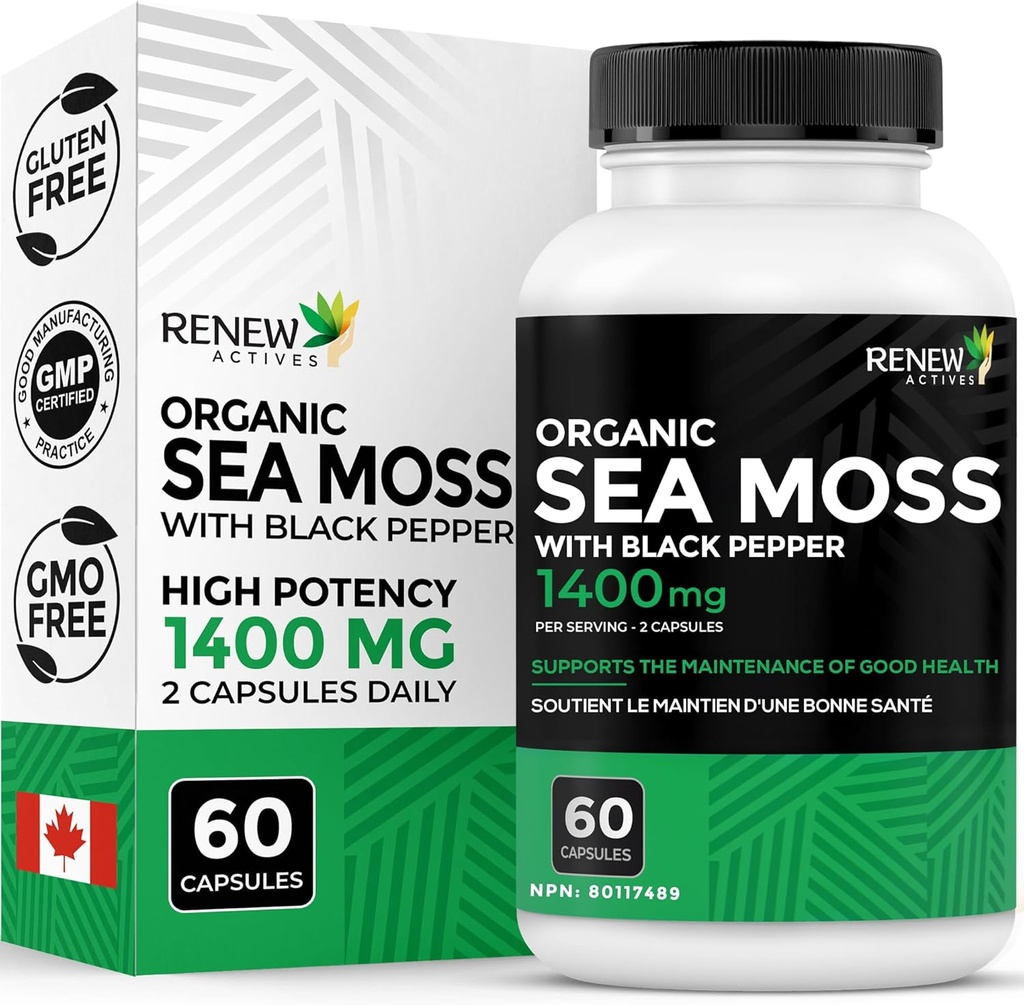 更新活性海蚊三动抗氧化剂混合剂与生物牡蛎 — 有机爱尔兰海蚊500MG, Bladderwrack 500MG & Burdock Root 400MG 每2个卡普尔 – 加拿大制造 — 60个卡普尔