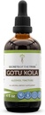 Gotu Kola Tincture酒液提取部落的秘密,Gotu Kola (Centella Asitica) 干草(4 FL OZ)