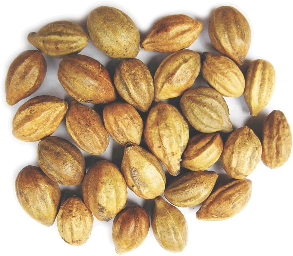 Naturals terminalia Chebula | Kadukkai | Harad | Inknut | Haritaki 印度原生草(200g(7 oz))