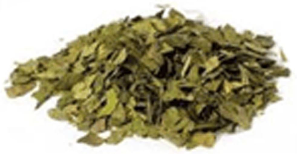 最佳植物学 Ginkgo叶切16 oz.