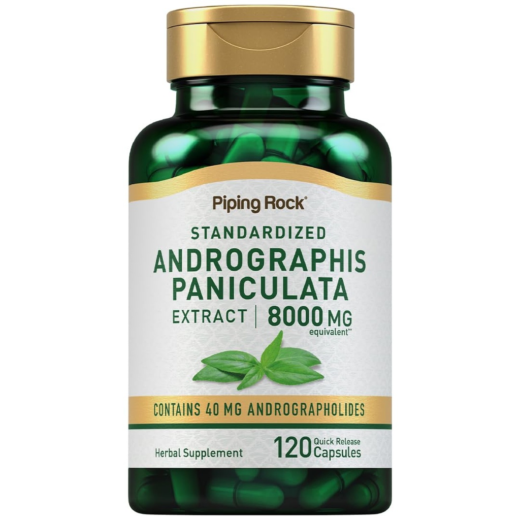 Pipping Rock Androgis Paniculata 提取 | 8000 mg | 120 Capsules | 标准化的草药补充 | 非GMO, Gluten Free