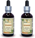 Bupleurum (Bupleurum Chinense) 丁香,有机干根液体提取物(Brand name:Herbalterra, Proudly in USA) 2x2 f.oz (2x60 ml)