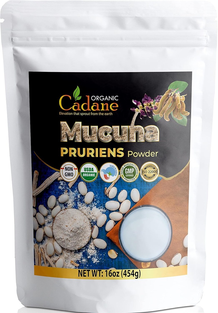 有机Cadane Mucuna Pruriens Powder 1 英镑 |促进脑健康,支持免疫系统,能源 | USDA 认证的 Vegan 友好补充 | 纯天然天鹅绒豆 印度的提取
