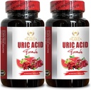 URIC酸支持 - 尿液切除支持,高级草药配方,Uric Acid Flush,支持Uric Acid,联合支持补充 - 2瓶120卡普尔