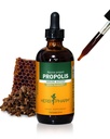 用于免疫系统支持的Herb Pharm Propolis液体提取 - 4 Ounce