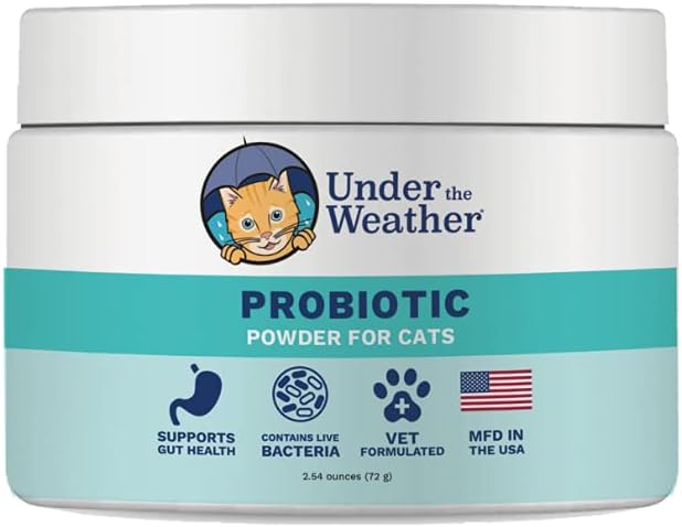 根据《猫类的天气宠物抗生素补充剂》,