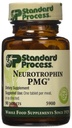 标准工艺 神经营养素 PMG 90 T