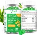 2 Pack Irish Organization Sea Moss Gummys with Black Seed Oil, Chlorophyll - 甲状腺素,Mood, 能量与免疫支持 - 女性与男性,成人与孩子 - 120 Vegan Gummys