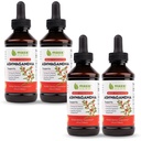 Maxx Herb Ashwagandha 提取器 – Max 强力液体丁醇比Capsules或粉末更好 – 用于Stamina,记忆和免疫支持 – 4瓶,4 Oz Each (240 services)