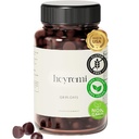 Debloat Gummys – Fast Bloating and Gas Relief – 草药消化支持与苹果苹果苹果苹果醋,丹德利翁和绿茶感受灯光,舒适和能量 – 60 Gummys.