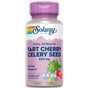 SOLARAY Tart Cherry & Celery种子 健康尿酸水平,联合,肌肉恢复和睡眠支持 QQ 60 Veg Caps