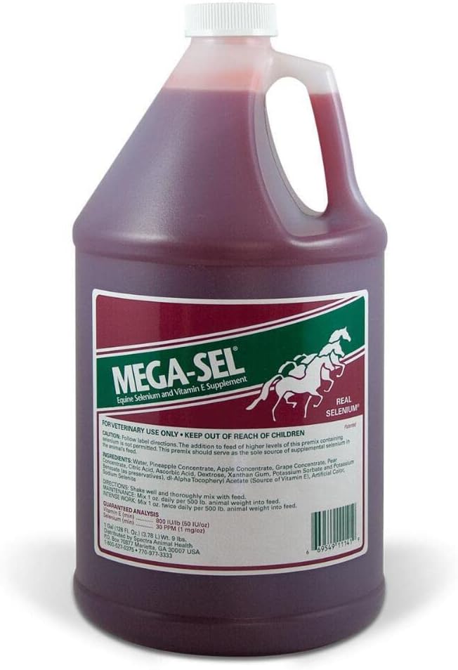 1 Gallon (128 Fl oz) 巨型Sel液体配方用于马,
