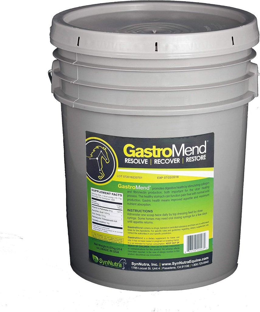 SynNutra GastroMend (GastroMend - 600 剂量 Bucket) 100% 天然