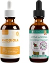 Rejuvica健康活动Rhodiola + Active Adrenal - 支持能量+压力 - 液体交付更好的吸收 - Rhodiola, Ashwagandha, Holy Basil & More!
