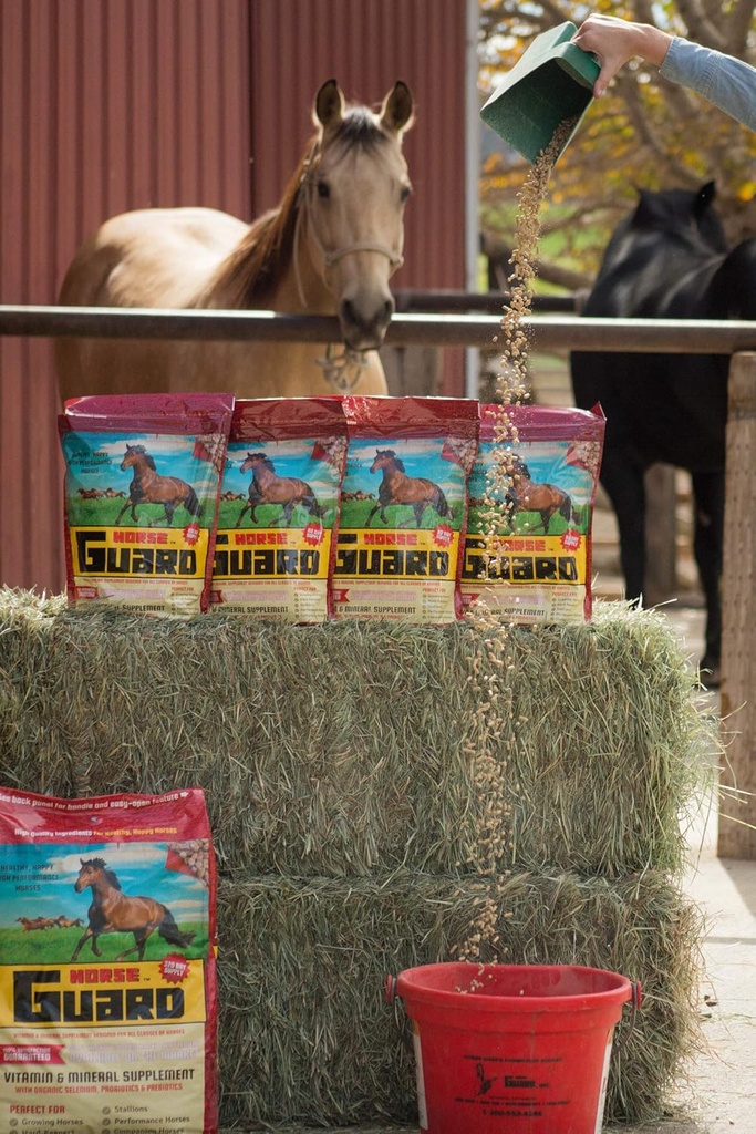 马卫4.6磅,Equine维生素矿物质加有机硒和维生素E
