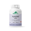PROVITA NADH+ Forte + NADH, Coenzyme Q10 & Chlorophyll + 能源支持, 聚焦, 精神清晰和脑健康 + Vegan Capsules + 高吸收细胞公式