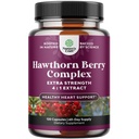 Hawthorn Berry Capsules - 纯抗氧化剂 Hawthorn Berry 配有 Leaf & Flower 摘录 4:1 健康心与消化 - 男女能量支持 - 120 计数包