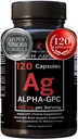 Alpha GPC 超吸附补充与生物Perine – 120 Counter, Alpha-GPC 600mg / service – Notrophics for memory, Focus, Energy, & Drive – Choline 补充刺激乙酰胆碱,美国制造