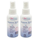 SkinSmart Eczema Spray for Babies and Toddlers, 移除细菌, 从而消除SkinCan Heal, 4 Ounce Spray (Pack of 2) 安全用于Delacate和Raw Skin