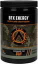 BFX 能源预研粉补充剂(BlackBerry Lemonade),配有BCAA,电解质,以及绿色茶叶,用于天然咖啡因、室内和后研磨肌肉恢复,30种服务