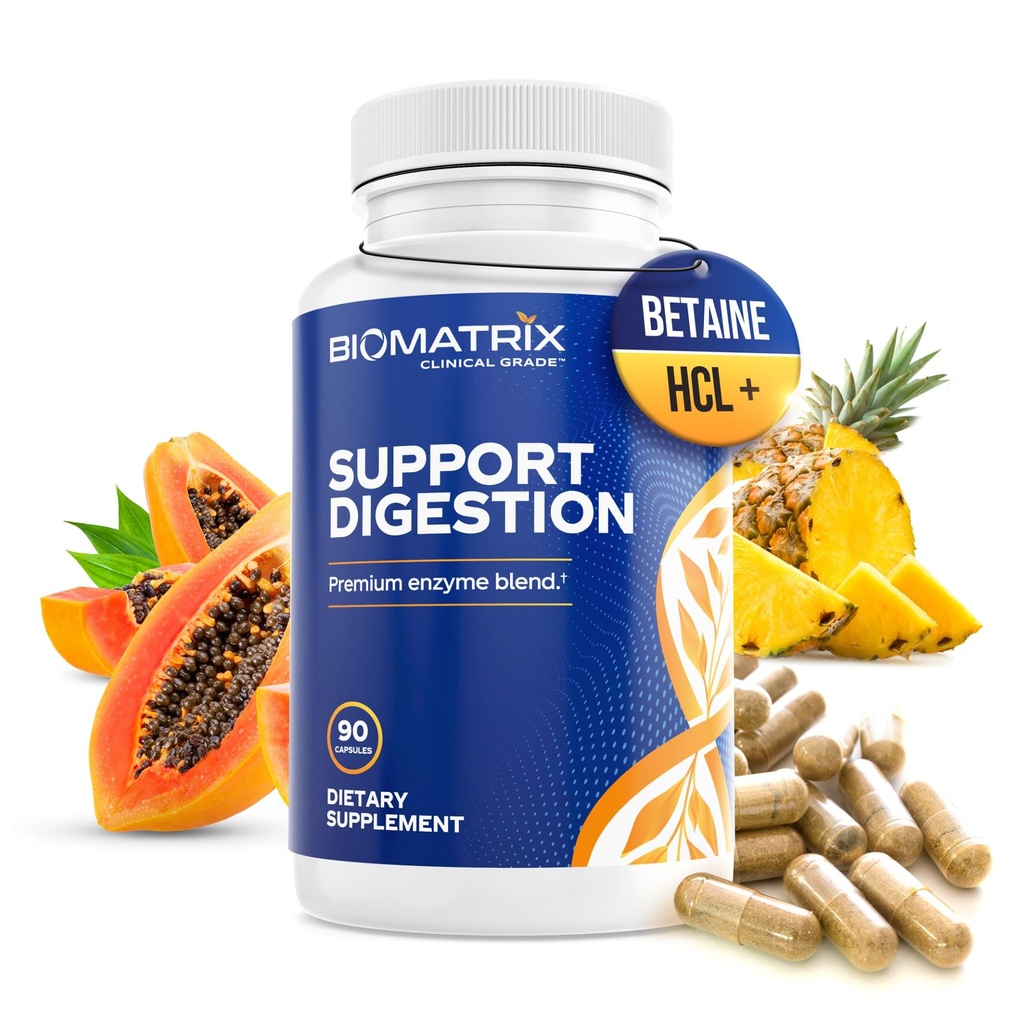 消化酶补充剂(90 Capsules) 支持消化 - 与纯化Bile,Pancreatin,植物酶,Ox Bile,Betaine HCL,支持脂肪碳水化合物和蛋白质的消化