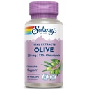 SOLARAY 橄榄叶提取补品, 250 mg QQ 60 计数