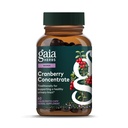 Gaia Herbs Cranberry 聚焦 - 帮助维持尿道切除术健康 - 用有机Cranberry 水果汁提取法在方便卡普勒斯制作 - 60 Vegan 液态植物-卡普勒斯(30日供应)